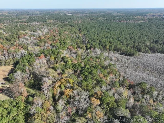 an aerial view of forest