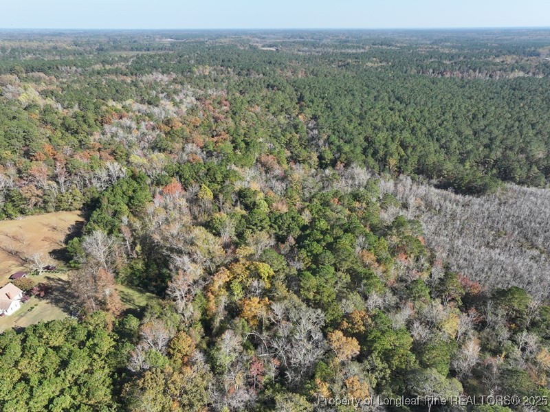 Tbd Mille Christine Road Whiteville, NC 28472 - Photo 3 of 8 an aerial view of forest