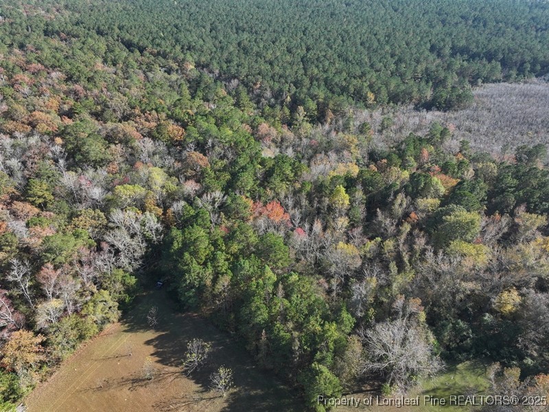Tbd Mille Christine Road Whiteville, NC 28472 - Photo 4 of 8 a view of a forest with trees in the background