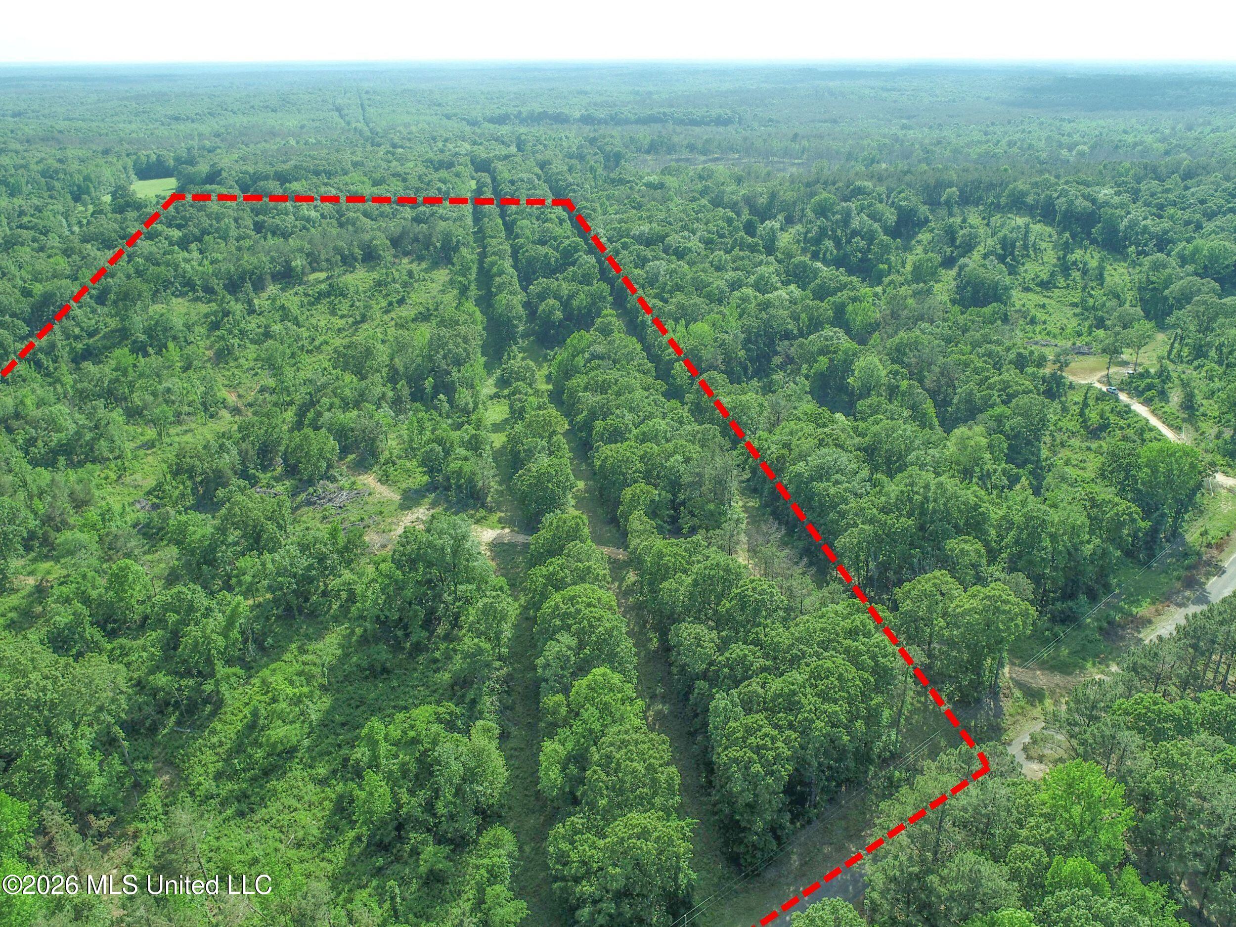 Wayne Massie Road Como, MS 38619 - Photo 49 of 184 3ctwmrd32b