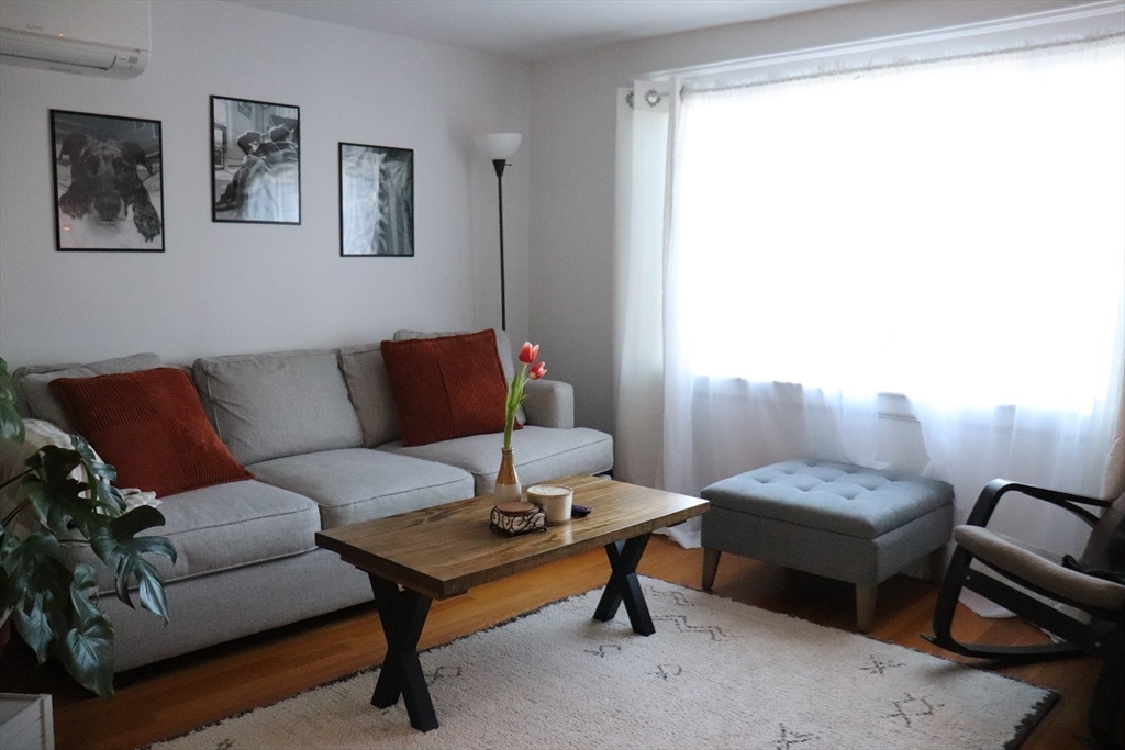 26 St Elmo Road Worcester, MA 01602 - Photo 29 of 42 a living room with furniture and a window