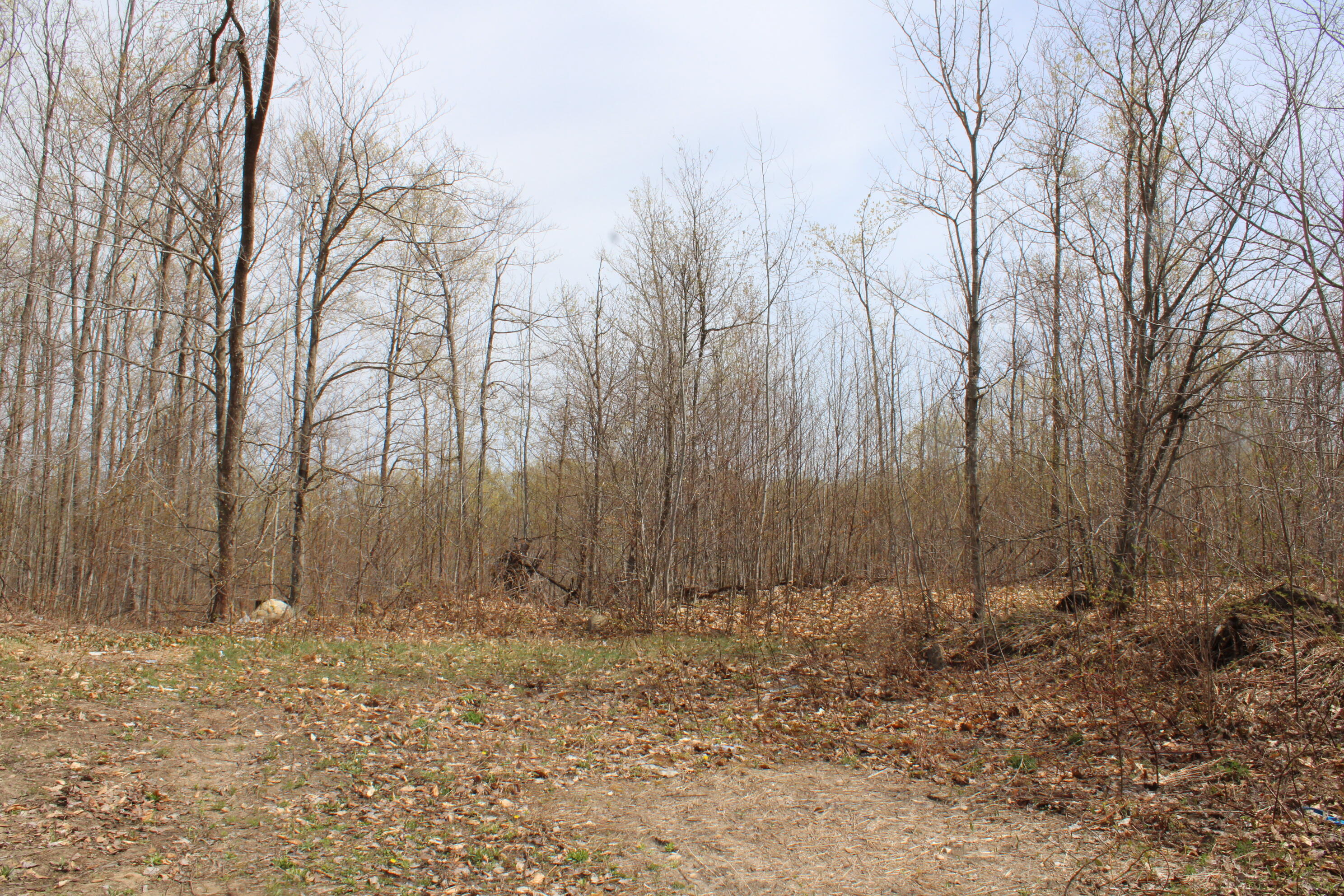 8241 Anger Road Mancelona, MI 49659 - Photo 30 of 42 IMG_5773