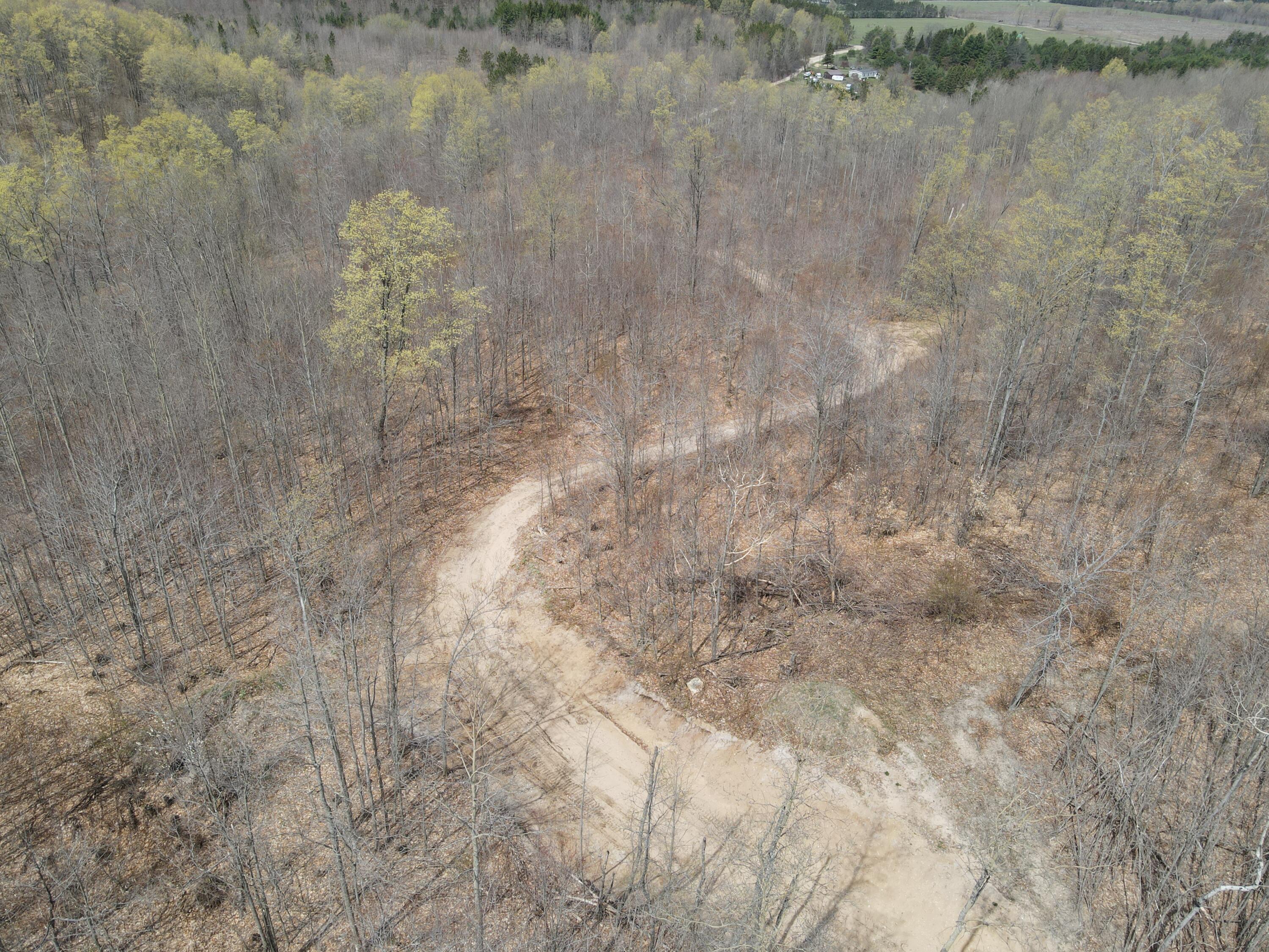 8241 Anger Road Mancelona, MI 49659 - Photo 9 of 42 DJI_0290