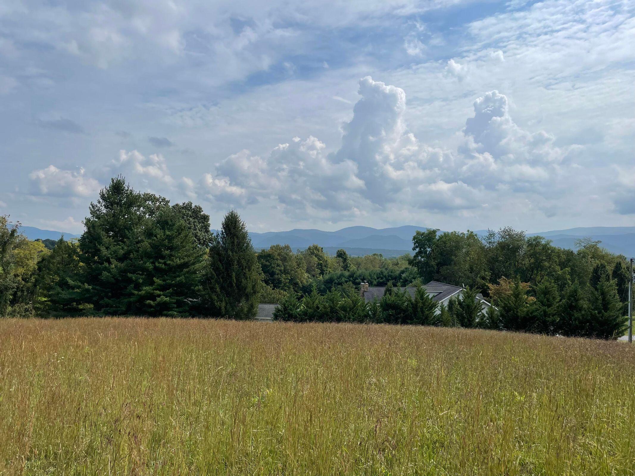 0 Eastview Lane Raphine, VA 24472 - Photo 1 of 3 Sanders