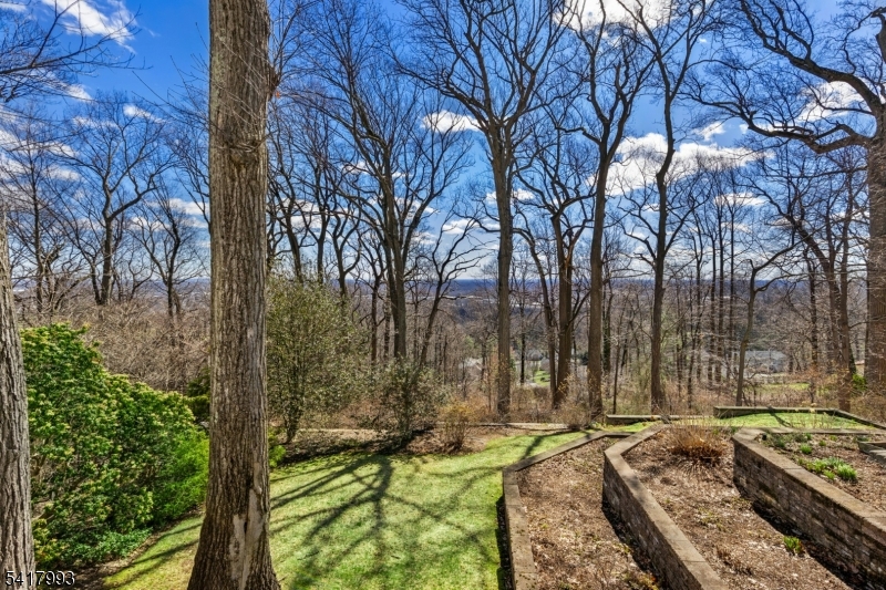 10 Tree Top Drive Springfield, NJ 07081 - Photo 16 of 18
