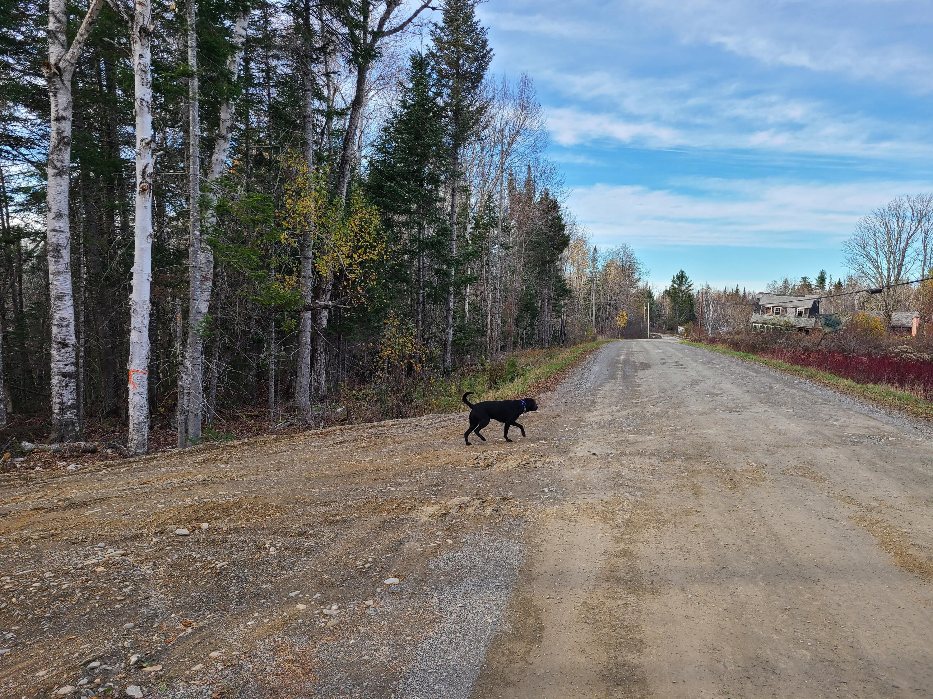 6 B Estabrook Road Amity, ME 04471 - Photo 4 of 12 20211026_155532