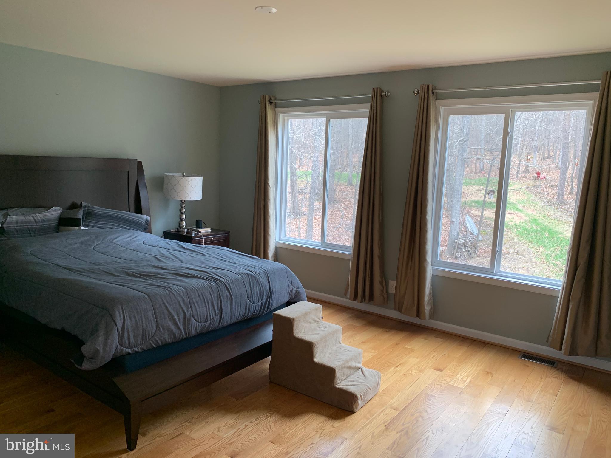 145 Ebenezer Road Bluemont, VA 20135 - Photo 23 of 53 Master bedroom