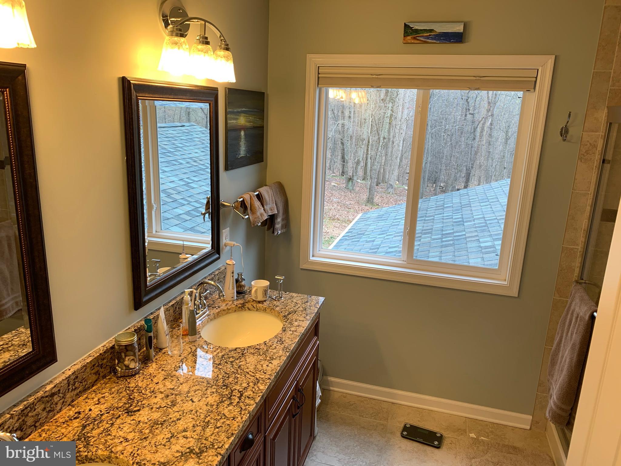 145 Ebenezer Road Bluemont, VA 20135 - Photo 24 of 53 Master bath with granite counter