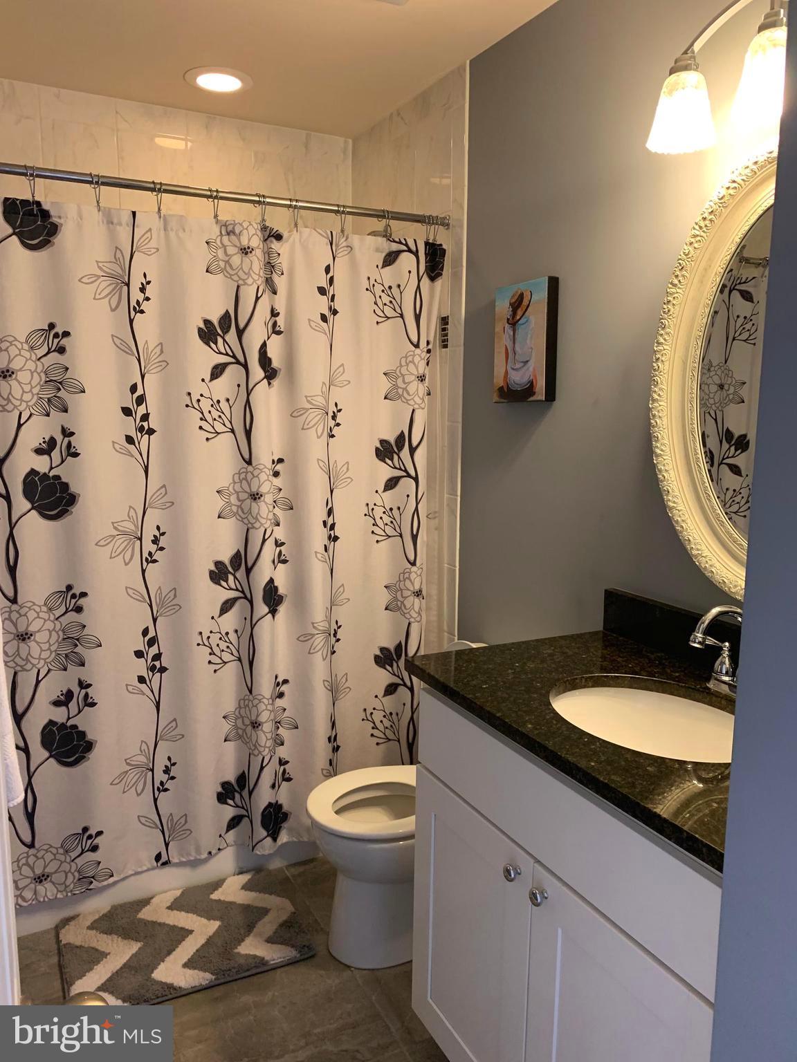 145 Ebenezer Road Bluemont, VA 20135 - Photo 29 of 53 Main level full bath