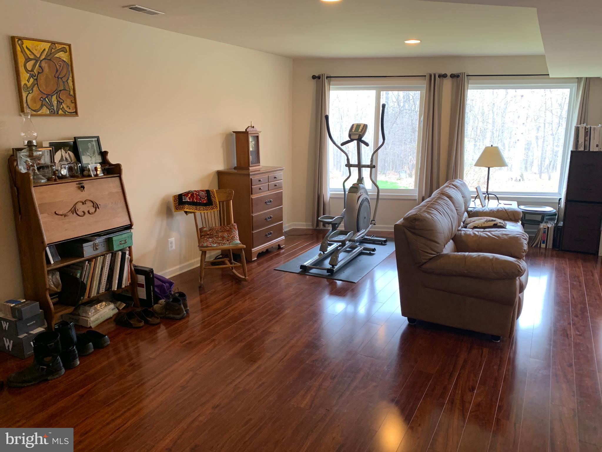145 Ebenezer Road Bluemont, VA 20135 - Photo 32 of 53 Recreation room