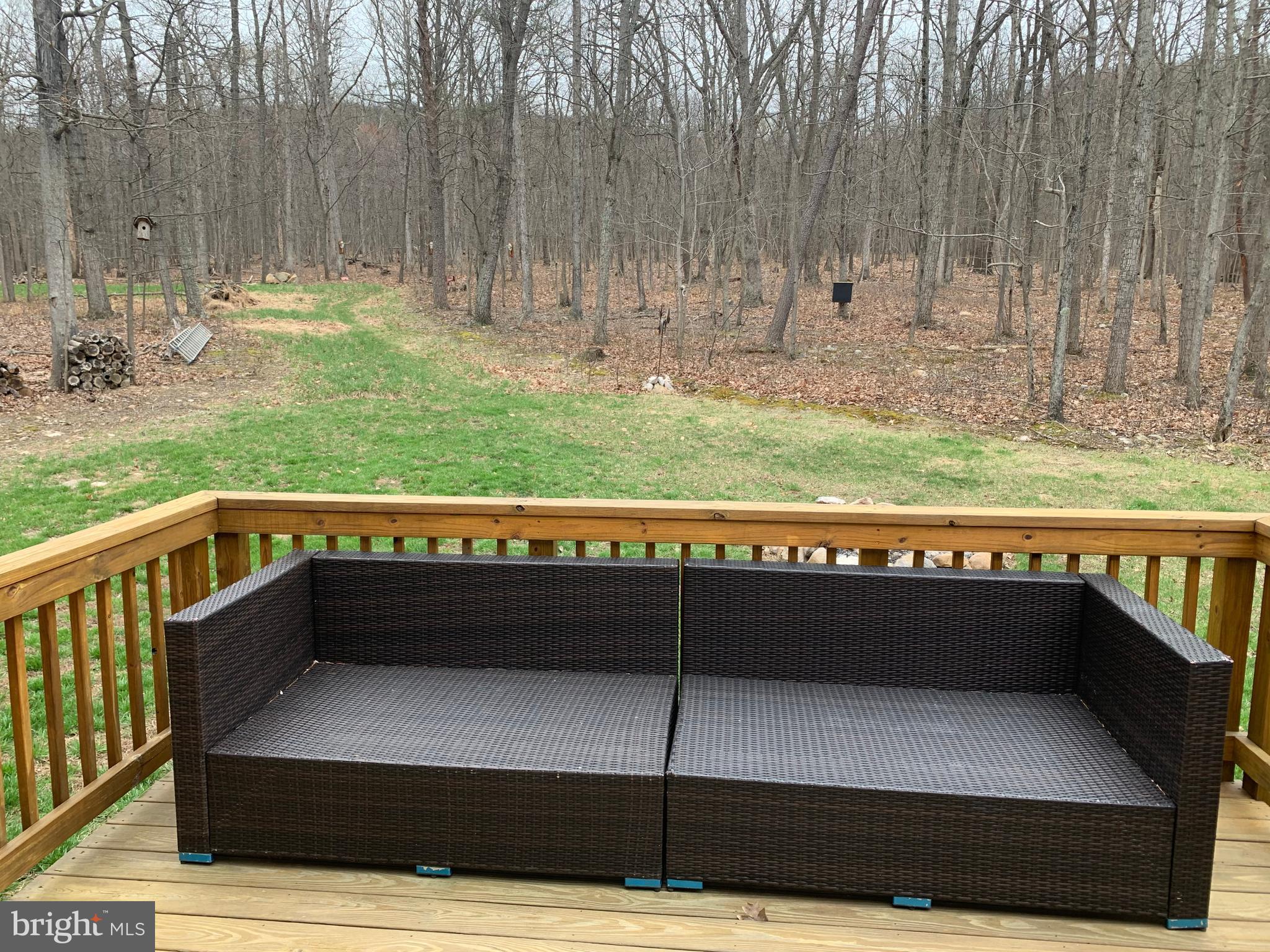 145 Ebenezer Road Bluemont, VA 20135 - Photo 39 of 53 Backyard