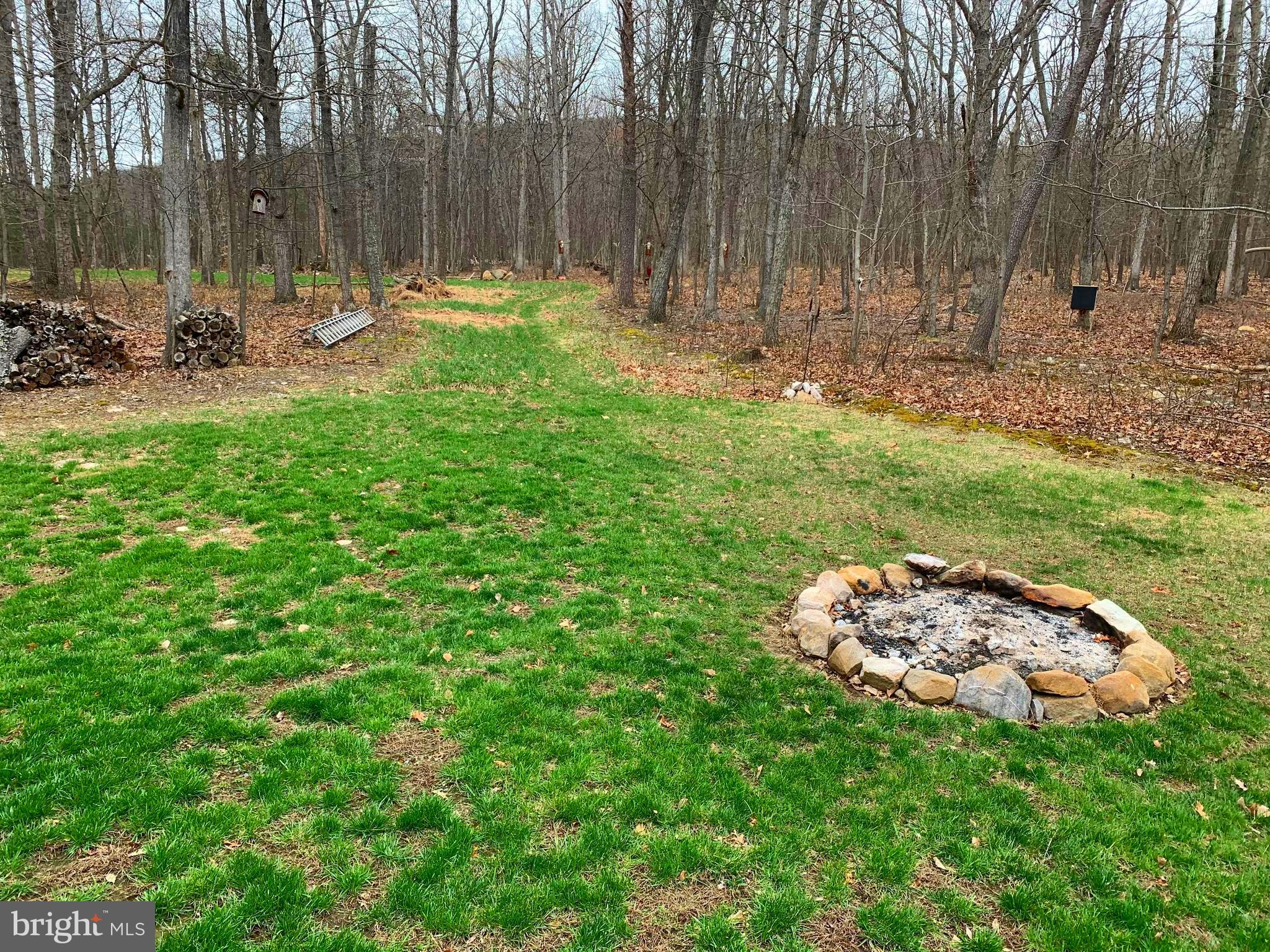 145 Ebenezer Road Bluemont, VA 20135 - Photo 43 of 53 Yard