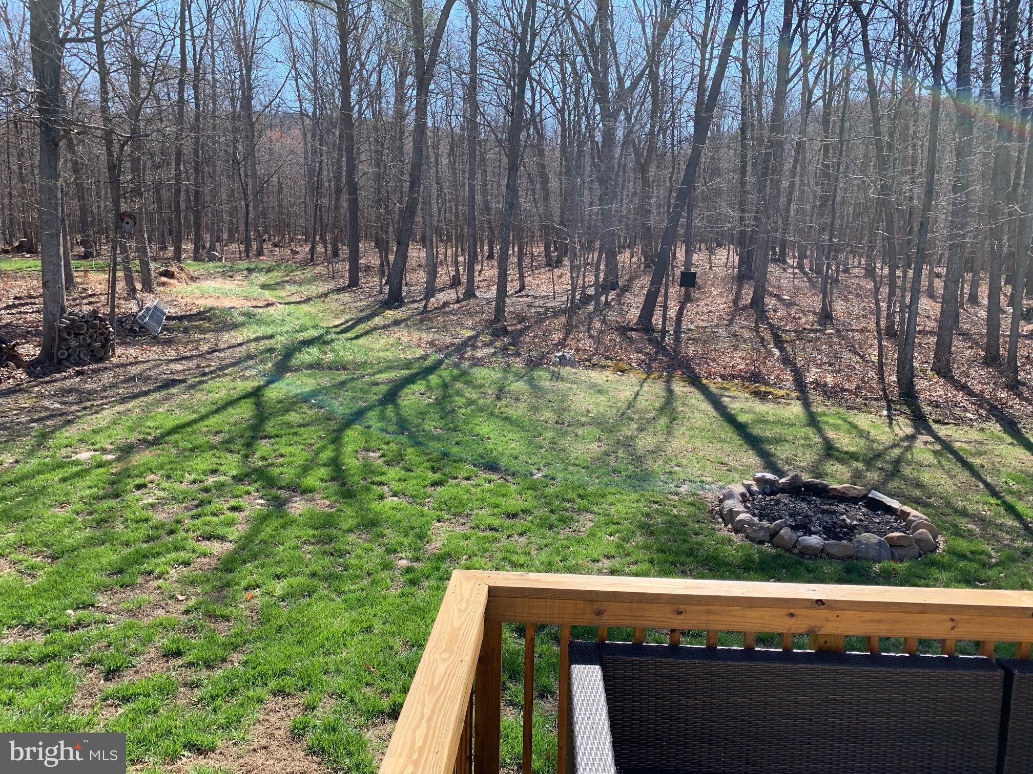 145 Ebenezer Road Bluemont, VA 20135 - Photo 49 of 53