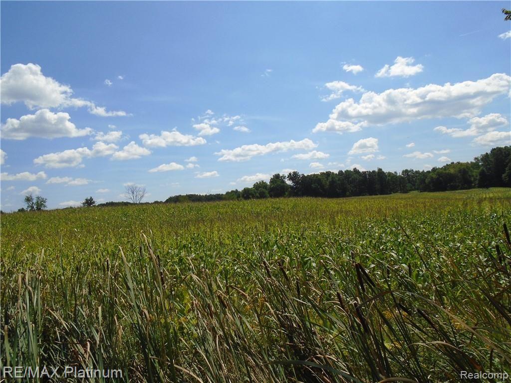 D 2 Germany Road Fenton, MI 48430 - Photo 19 of 27