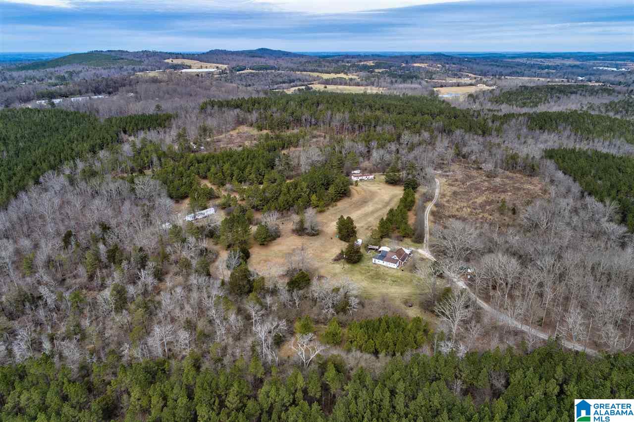 620 Chief Albert Road Blountsville, AL 35031 - Photo 3 of 15