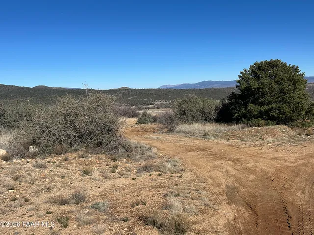 a view of a dry yard with mountains in the background