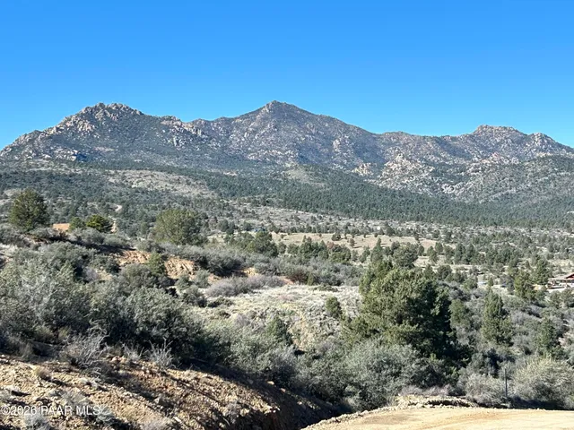 a view of a mountain in the distance