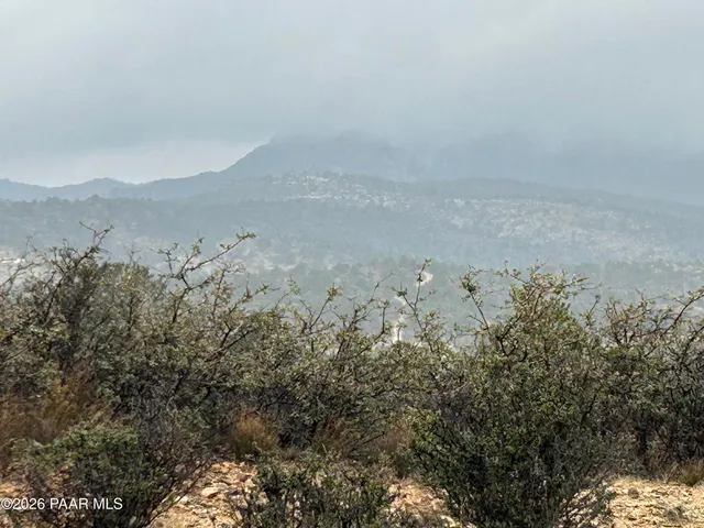 a view of a dry yard with trees