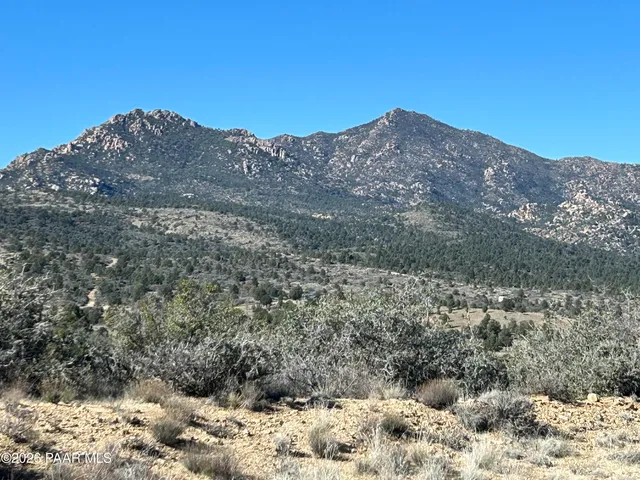 a view of a dry yard with mountains in the background