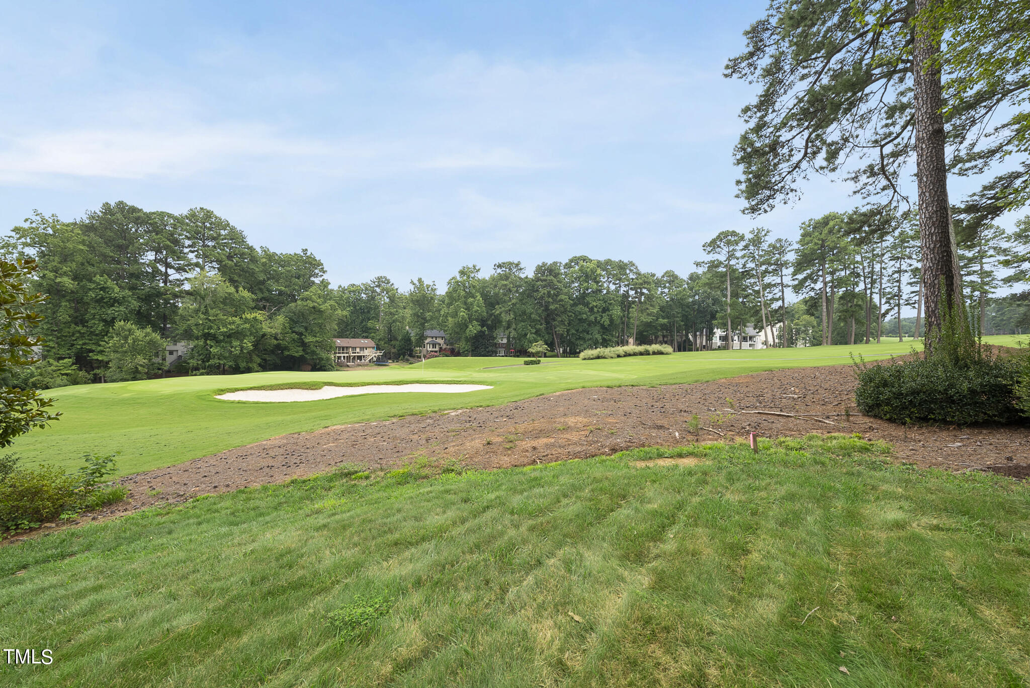 1704 Hunting Ridge Road Raleigh, NC 27615 - Photo 44 of 46 a view of a big yard with a large trees