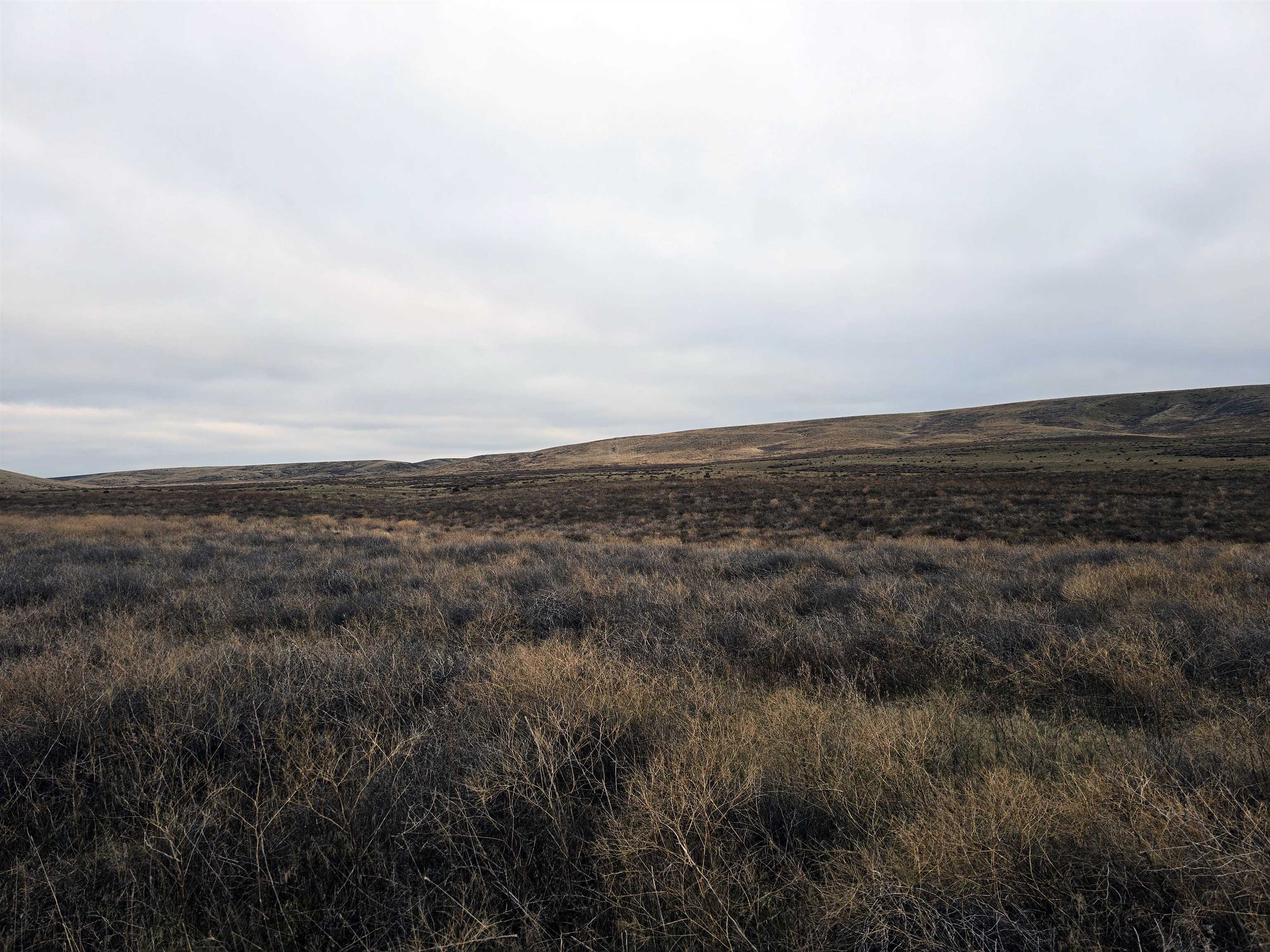 4200 Wadsworth Road Kahlotus, WA 99335 - Photo 8 of 28