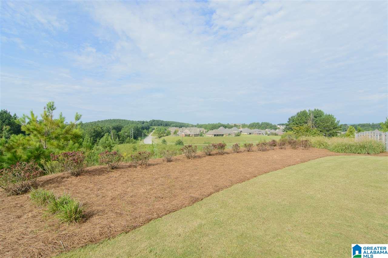 1077 Evan Circle Chelsea, AL 35043 - Photo 48 of 49
