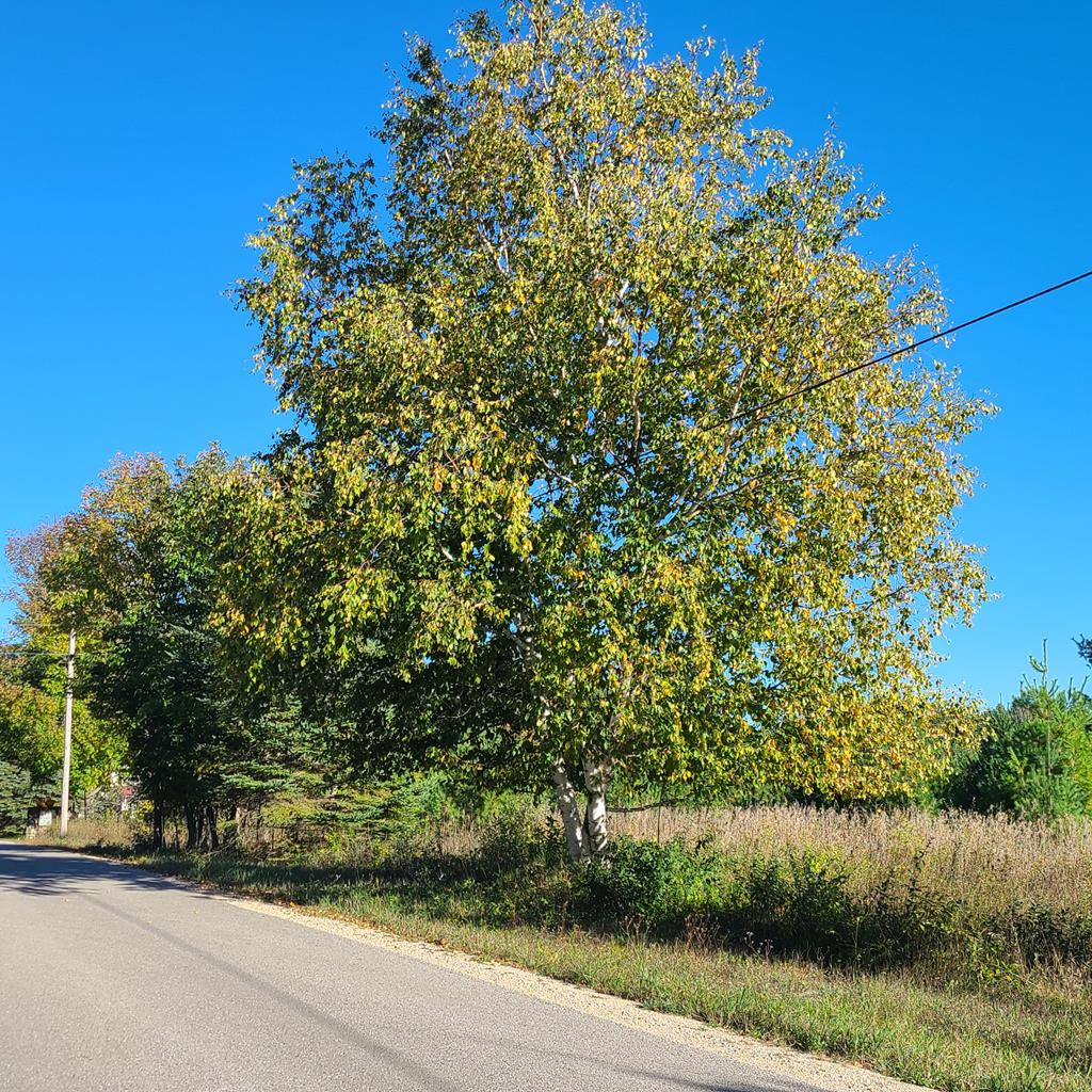 Tbd Gibraltar Road Fish Creek, WI 54212 - Photo 20 of 31 Gallery Image 20