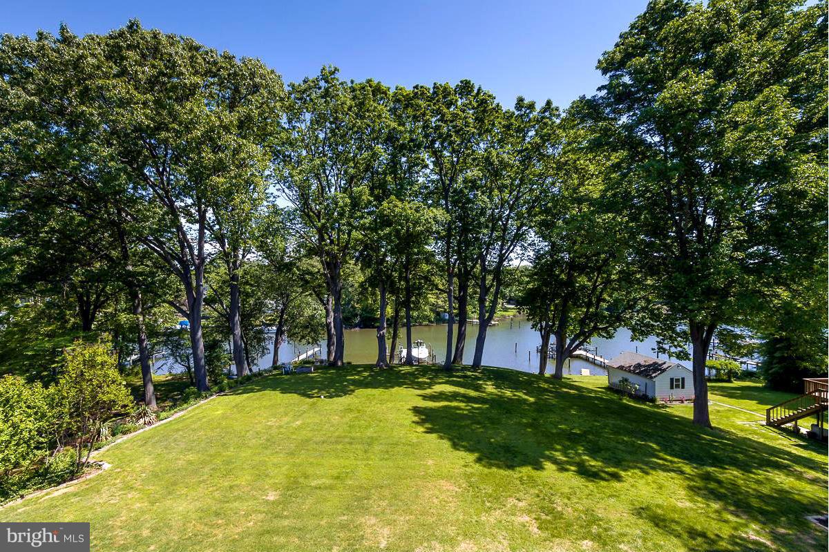 345 Edgewater Road Pasadena, MD 21122 - Photo 22 of 30 Expansive waterfront lawn with perfect shade trees