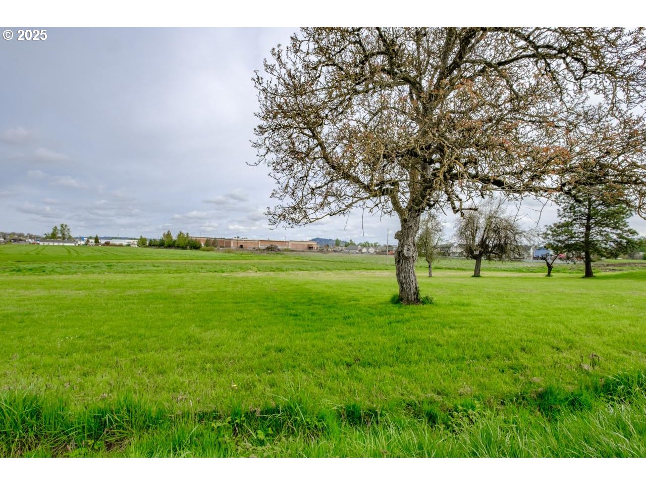 4055 Southeast Spicer Road Albany, OR 97322 - Photo 8 of 10