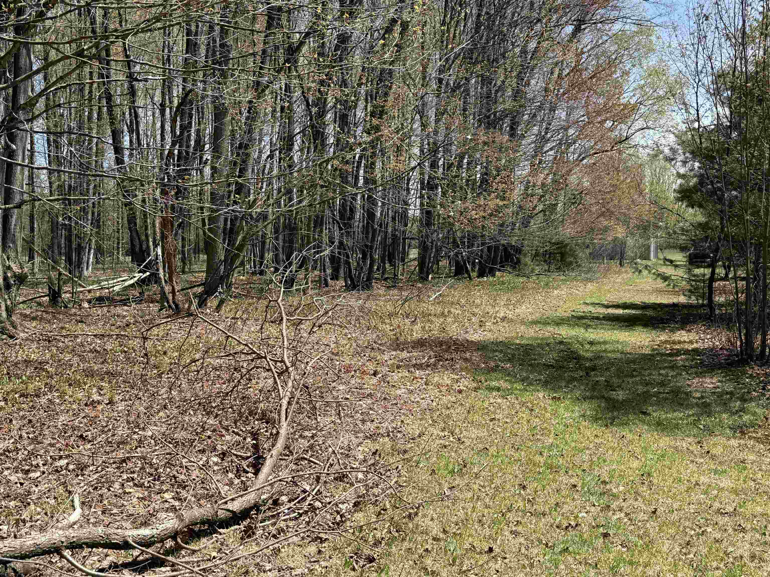 7274 South Forward Road McBain, MI 49657 - Photo 57 of 76