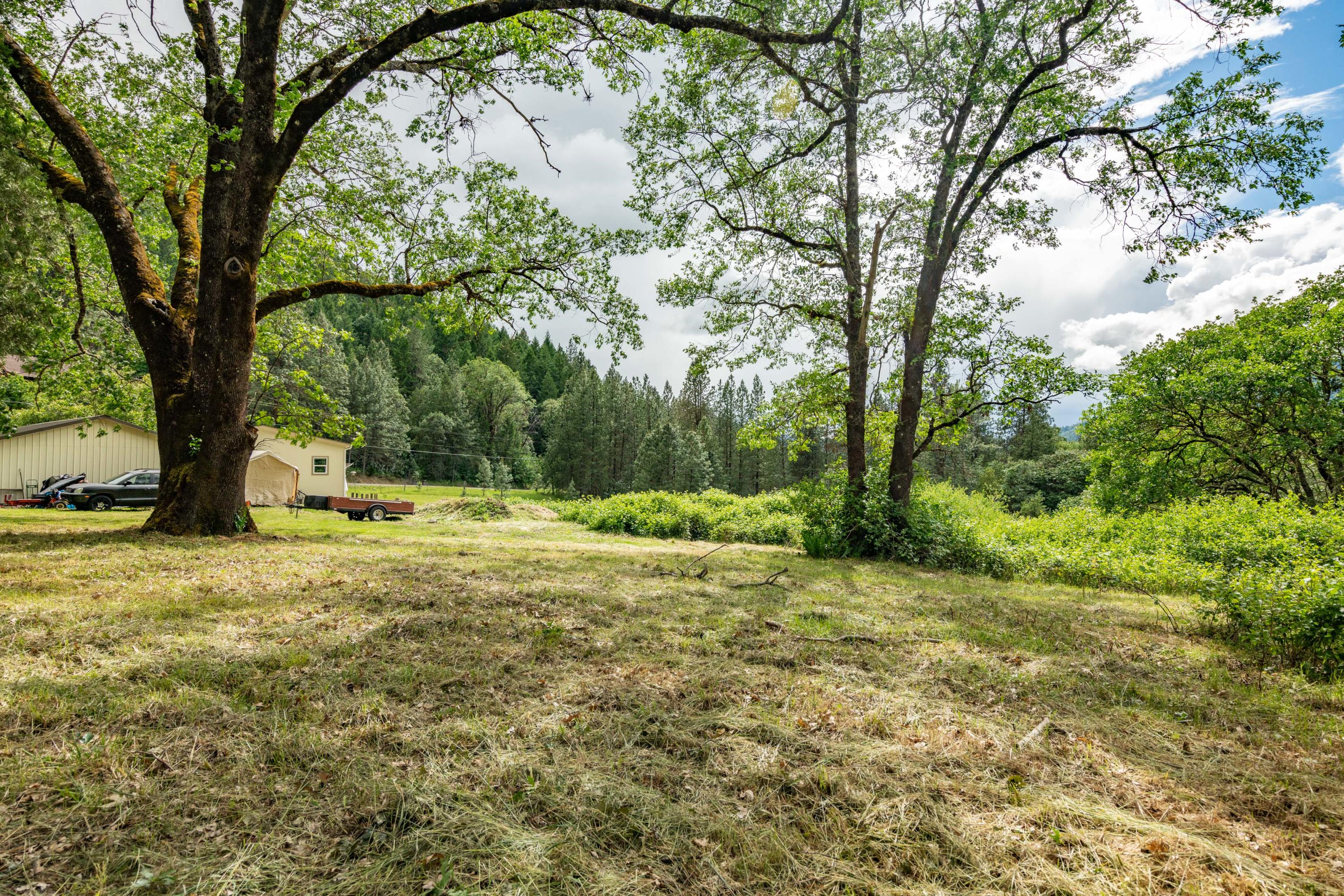 1617 Wards Creek Road Rogue River, OR 97537 - Photo 3 of 19 3