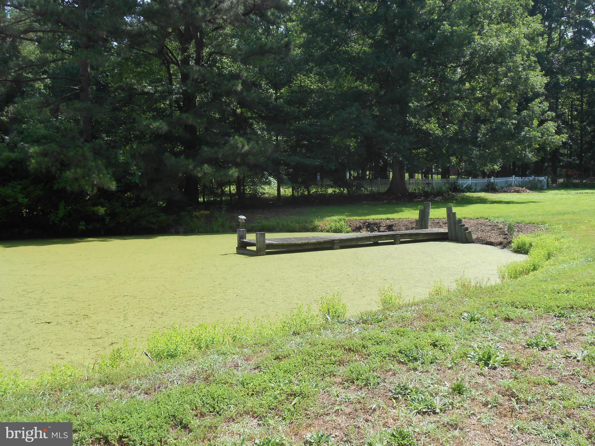 41302 Medleys Neck Road Leonardtown, MD 20650 - Photo 12 of 16 Exterior (General)