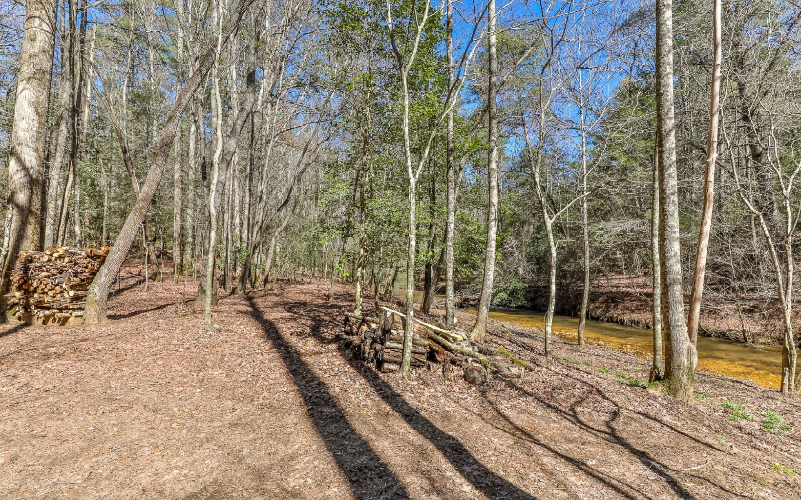 627 Walker Ridge Ellijay, GA 30540 - Photo 4 of 57 Additional View