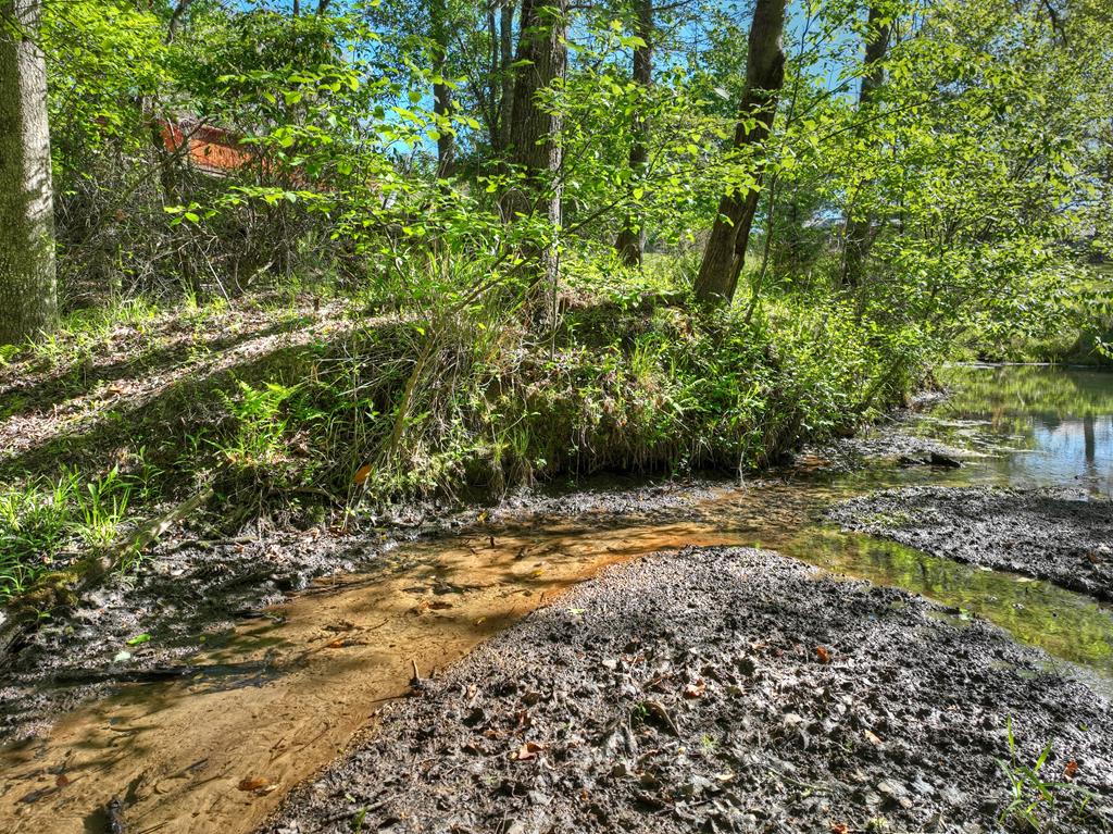 112 Loving Meadows Lane Morganton, GA 30560 - Photo 4 of 68