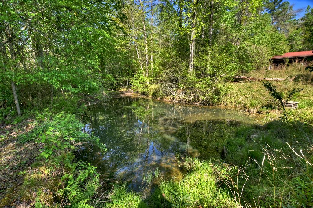 112 Loving Meadows Lane Morganton, GA 30560 - Photo 66 of 68
