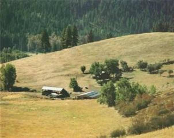 3212 Clark Lake Road Hunters, WA 99137 - Photo 1 of 9