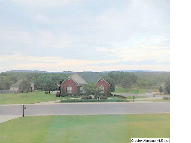 593 Ridgefield Way Odenville, AL 35120 - Photo 19 of 23