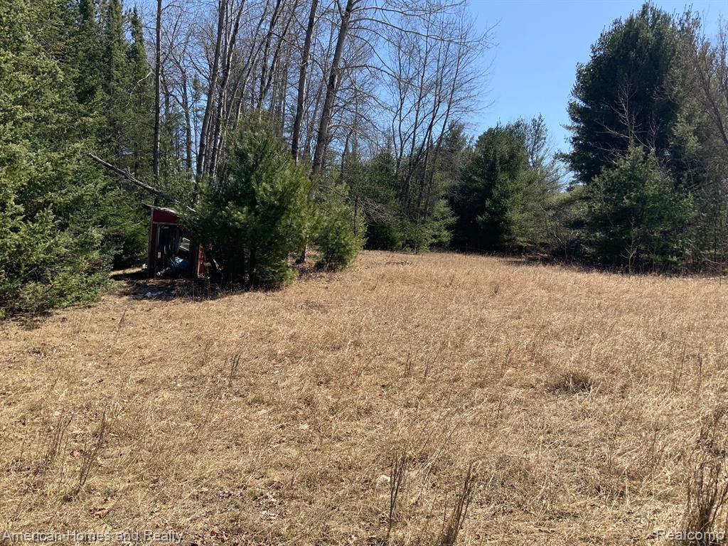 1908 Andrews Road Mikado, MI 48745 - Photo 5 of 12