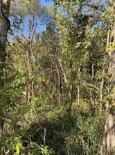 0 Laprairie Road Marksville, LA 71351 - Photo 2 of 3