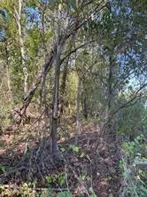 $45,000 | 0 Laprairie Road, Marksville, LA 71351