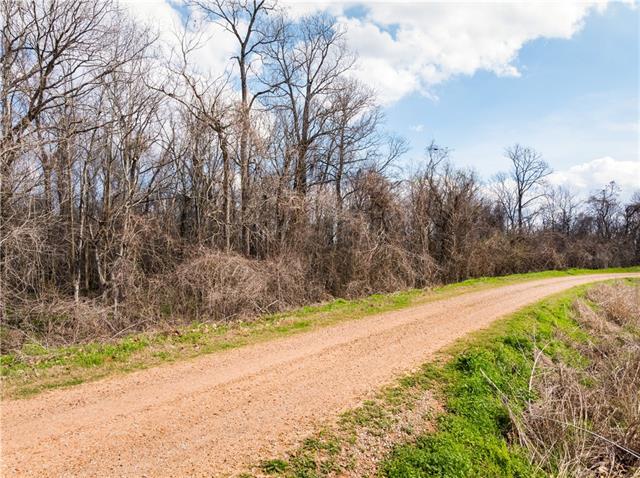 0 Laprairie Road Marksville, LA 71351 - Photo 4 of 4