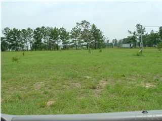 4620 Farm Life Road Milton, FL 32583 - Photo 1 of 2