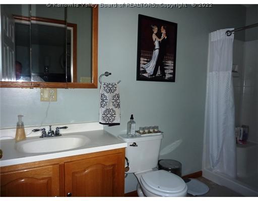 22 Pine Tree Lane Ripley, WV 25271 - Photo 13 of 16 Master Bath/Spa.