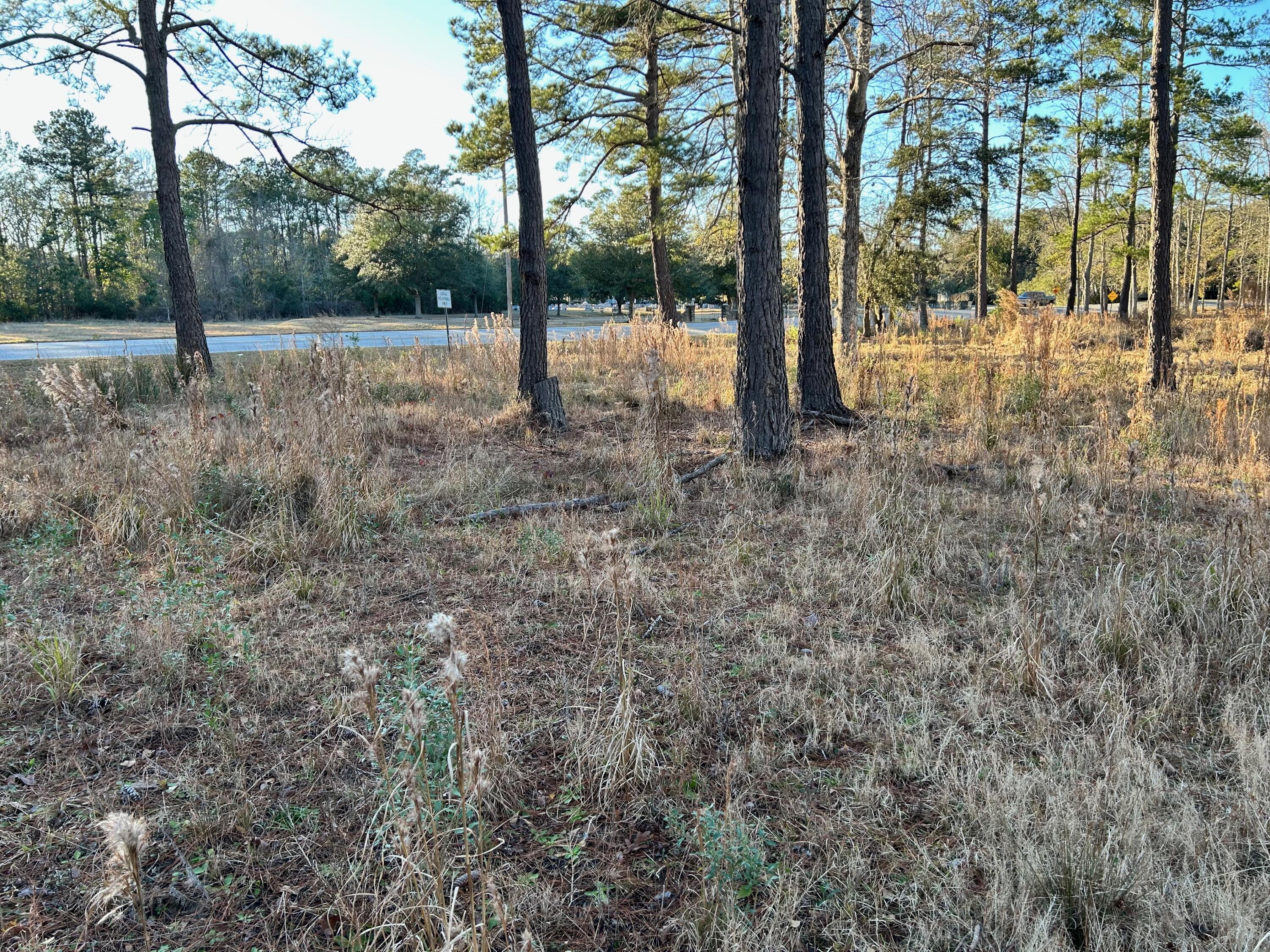 1420 Pinopolis Road Moncks Corner, SC 29461 - Photo 11 of 13 IMG_2970