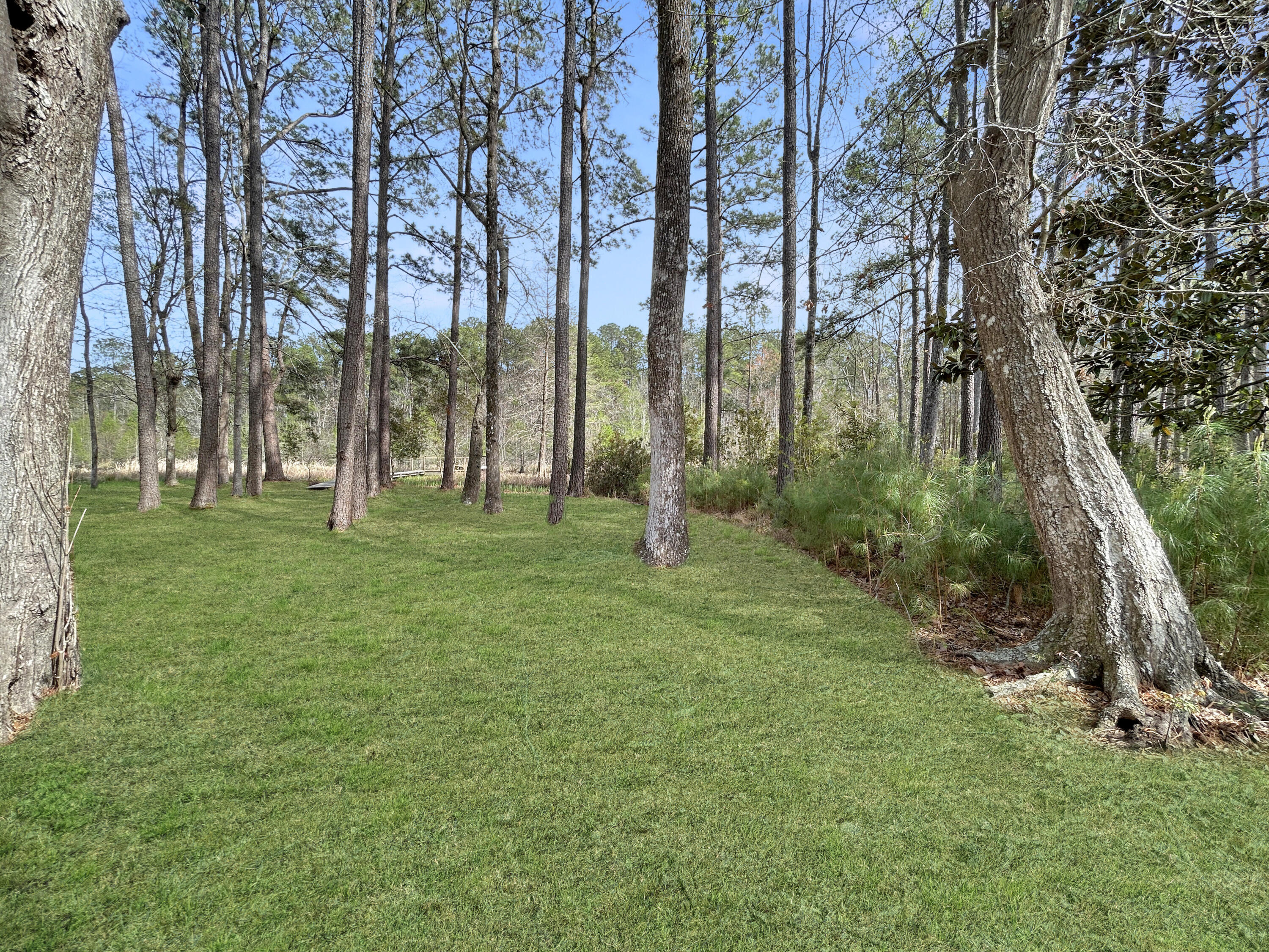 1420 Pinopolis Road Moncks Corner, SC 29461 - Photo 4 of 13 a4c0bf3fa98a87102c5873376eaf17ff130eec74