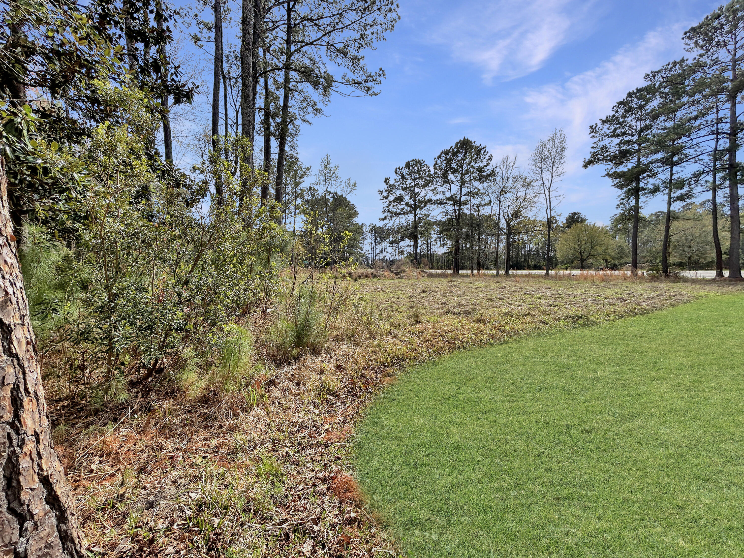 1420 Pinopolis Road Moncks Corner, SC 29461 - Photo 5 of 13 06dd4b3153d41e0b647e8f51426be5b9164698a4