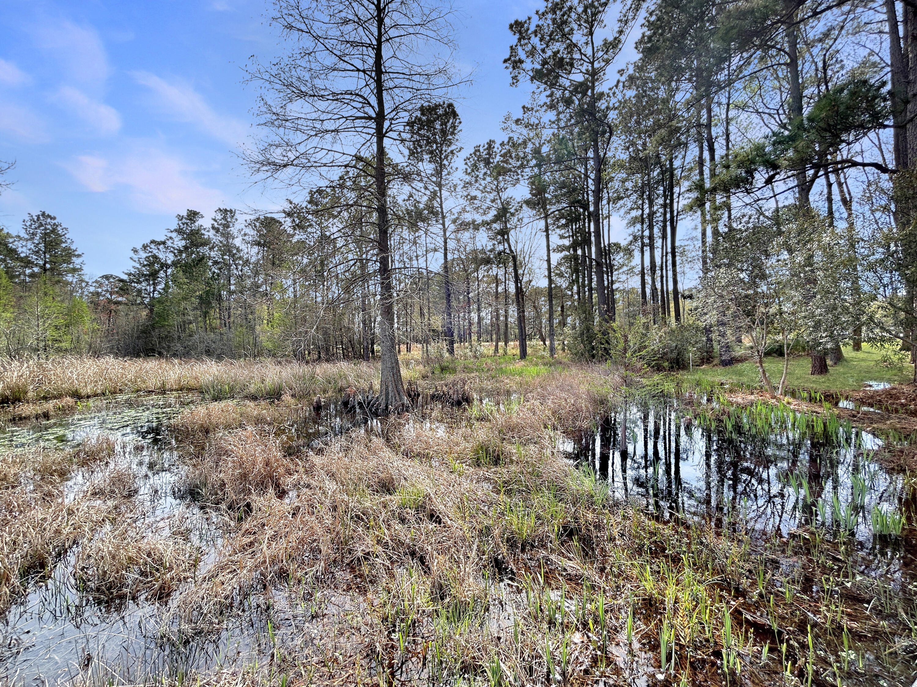 1420 Pinopolis Road Moncks Corner, SC 29461 - Photo 6 of 13 294beeeb279b29eddddcc11d3eb99da6736e67ff
