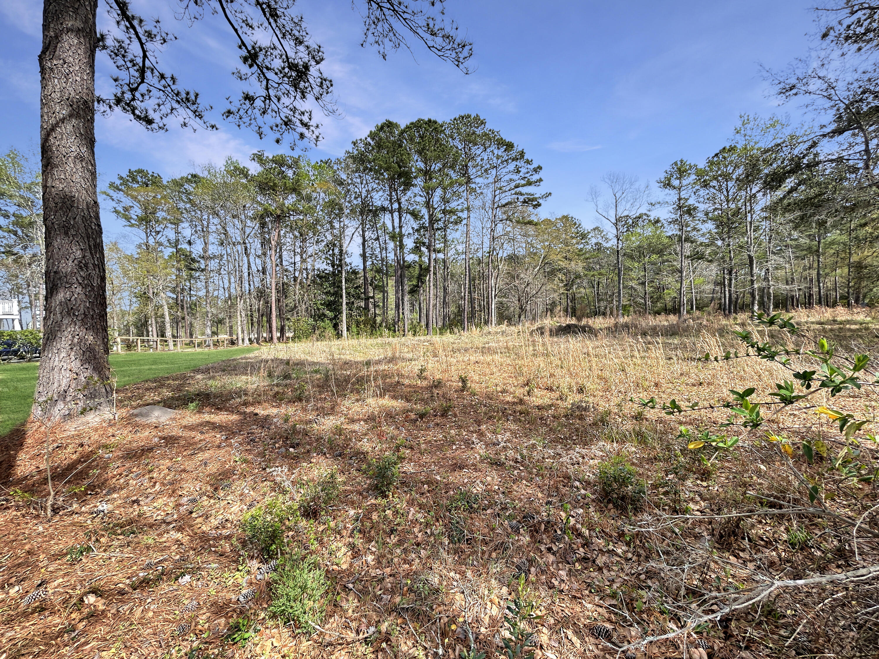 1420 Pinopolis Road Moncks Corner, SC 29461 - Photo 9 of 13 1d3fce58519eaa62fe219778ea1c60f1048ef722