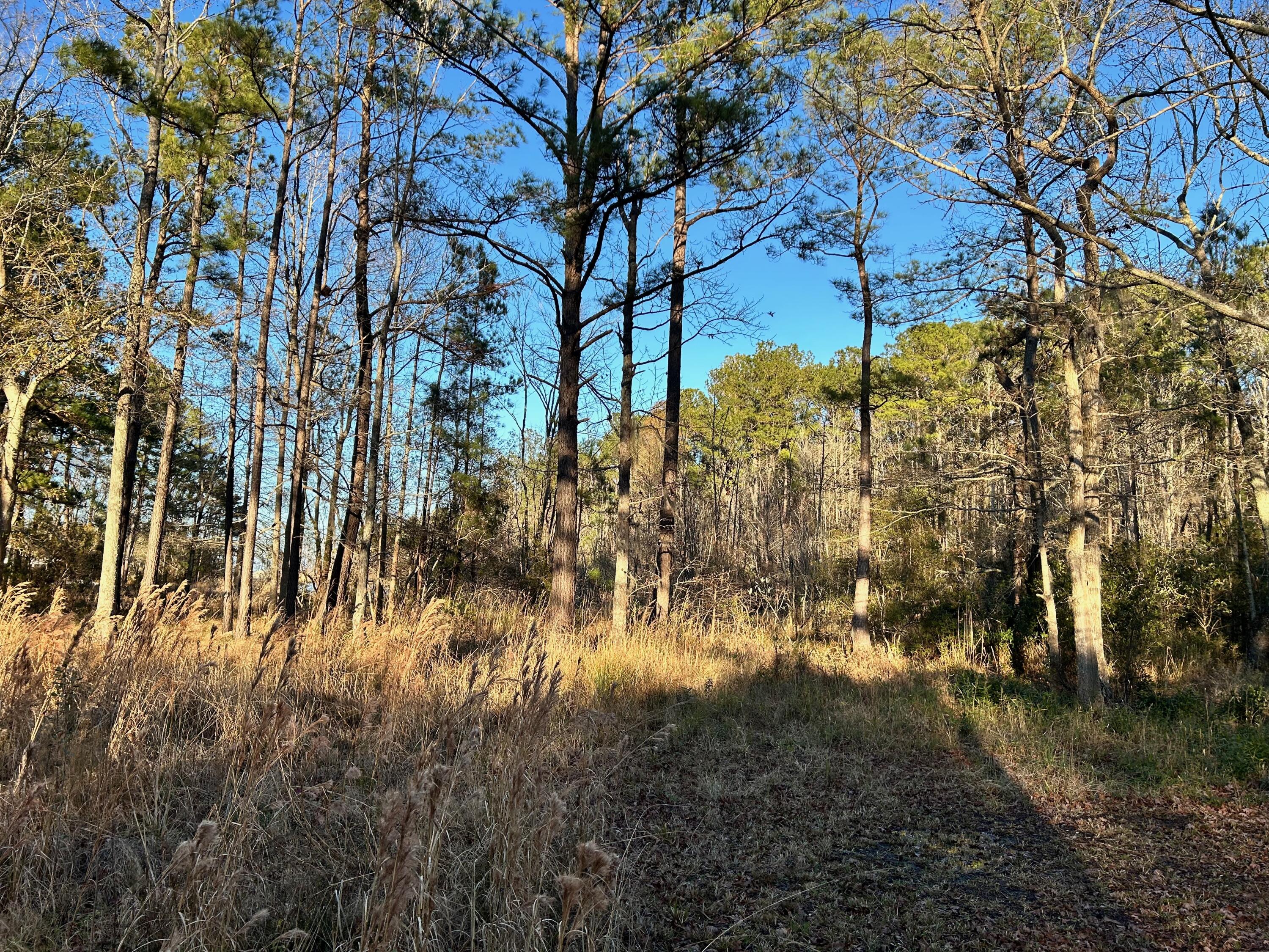 1420 Pinopolis Road Moncks Corner, SC 29461 - Photo 10 of 13 IMG_2971