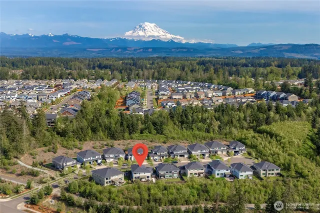 an aerial view of a house with swimming pool and large trees